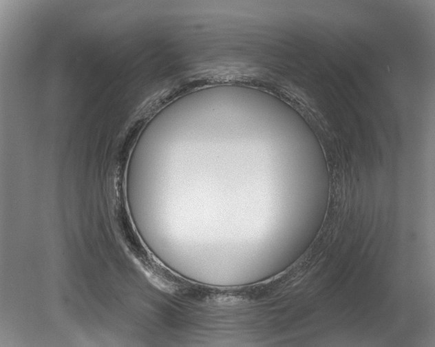 X0000079330590200611170958