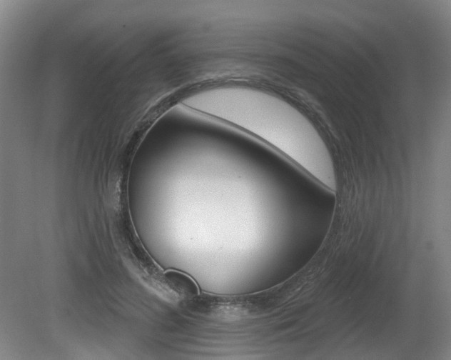 X0000079330596200611170958