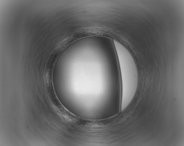 X0000079330597200611170958