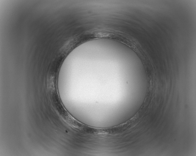 X0000079330598200611170958