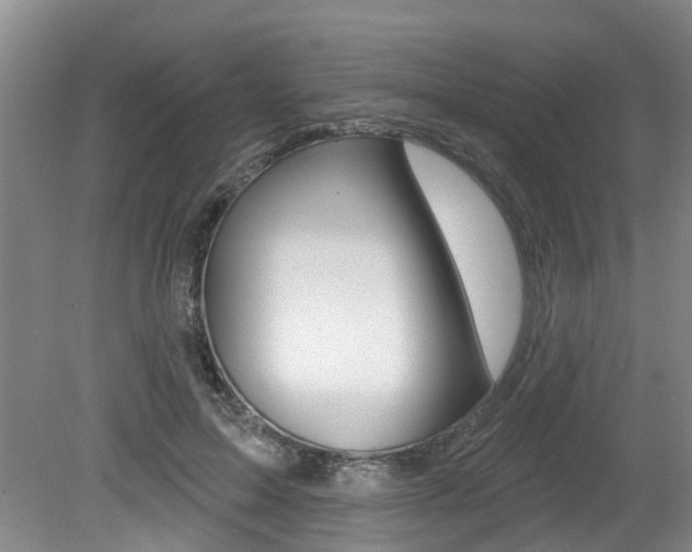X0000079330599200611170958