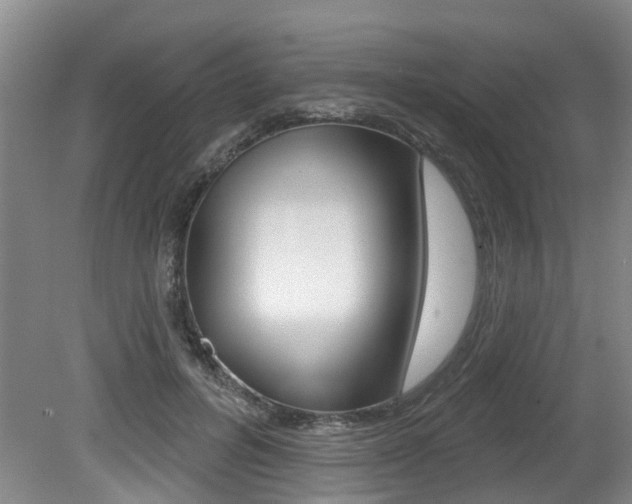 X0000079330600200611170958