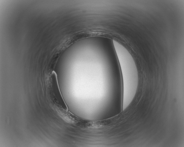 X0000079330601200611170958