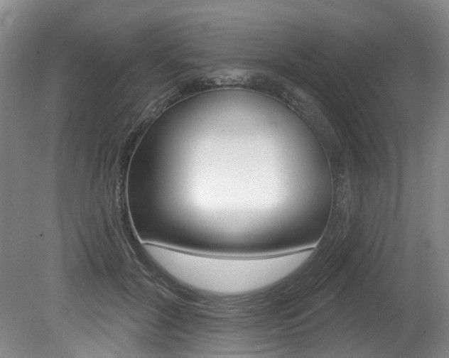 X0000079330604200611170958