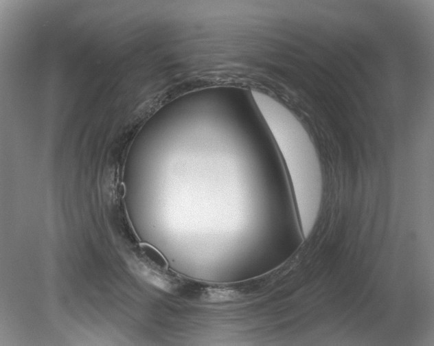 X0000079330605200611170958