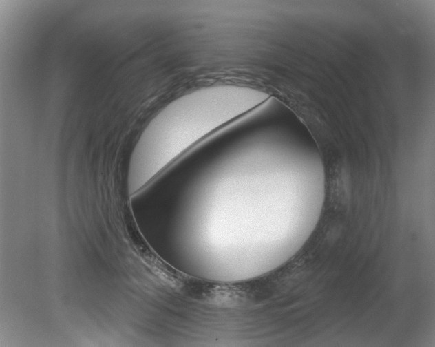 X0000079330608200611170958