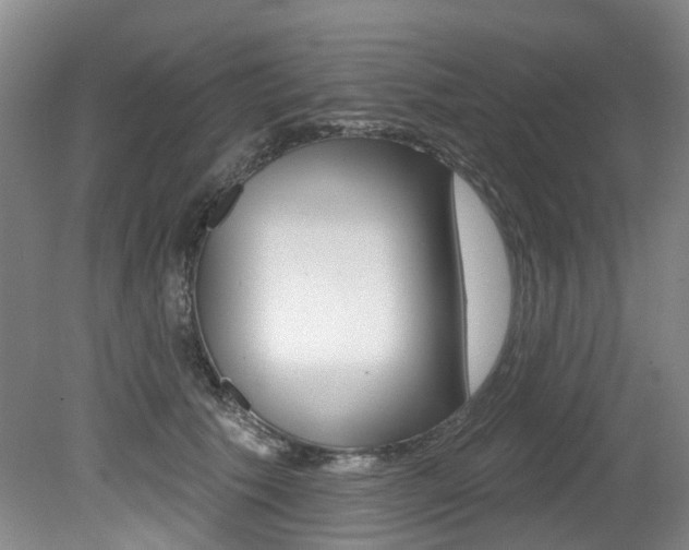 X0000079330609200611170958