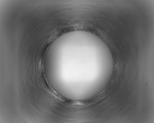 X0000079330610200611170958