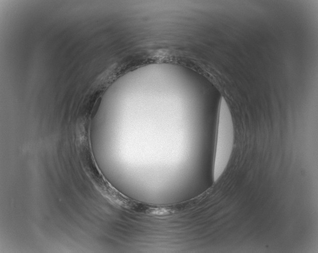 X0000079330611200611170958