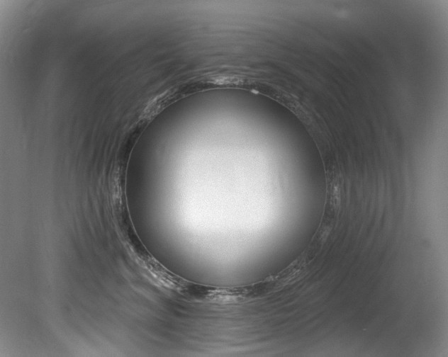 X0000079330620200611170958