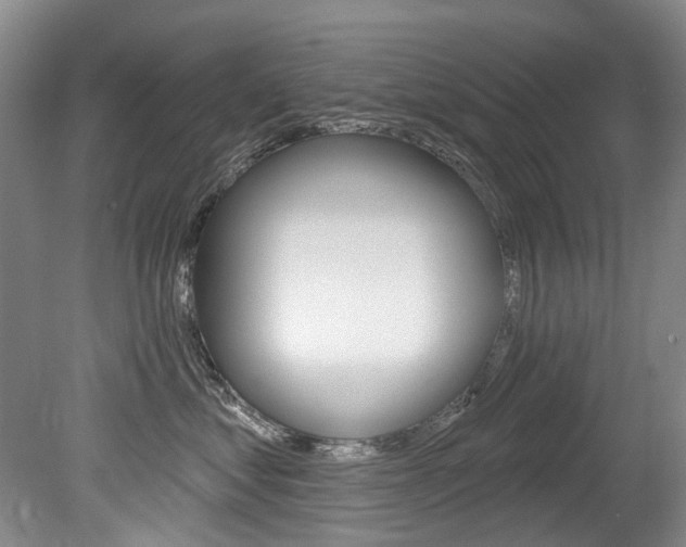 X0000079330621200611170958