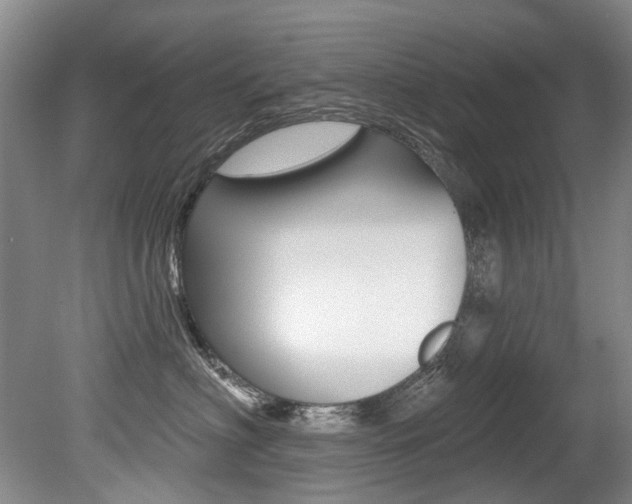 X0000079330622200611170958