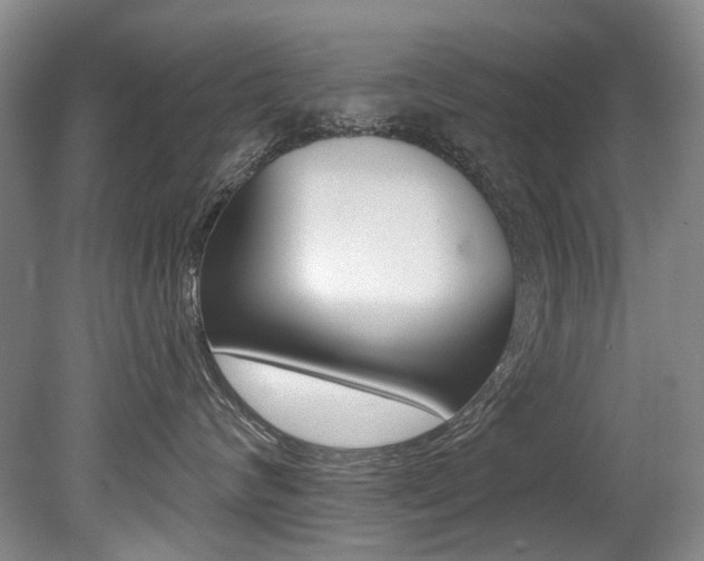 X0000079330624200611170958