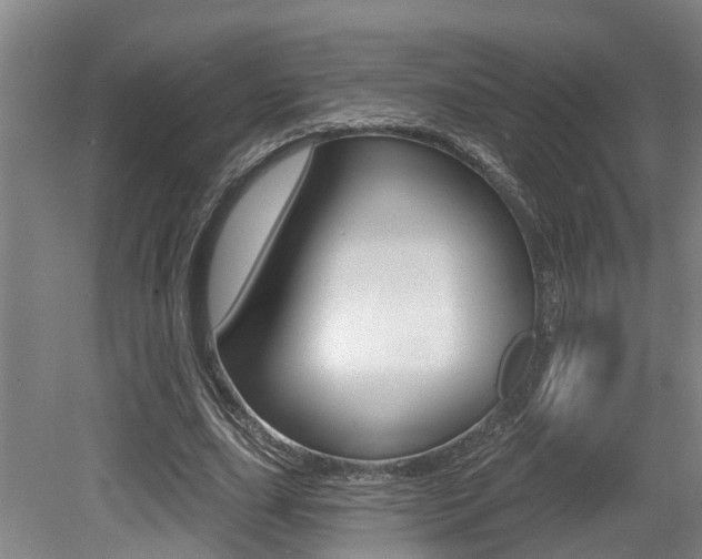 X0000079330631200611170957
