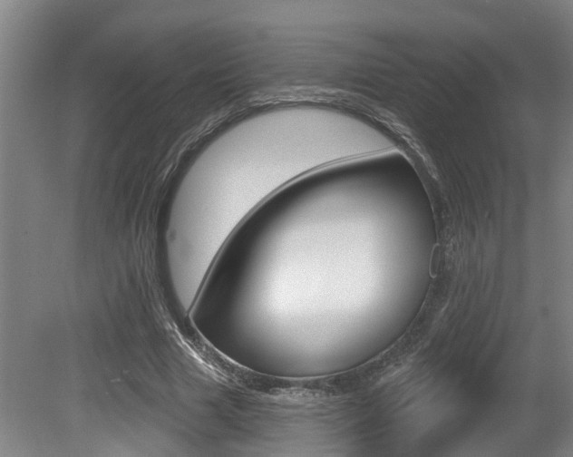 X0000079330633200611170957