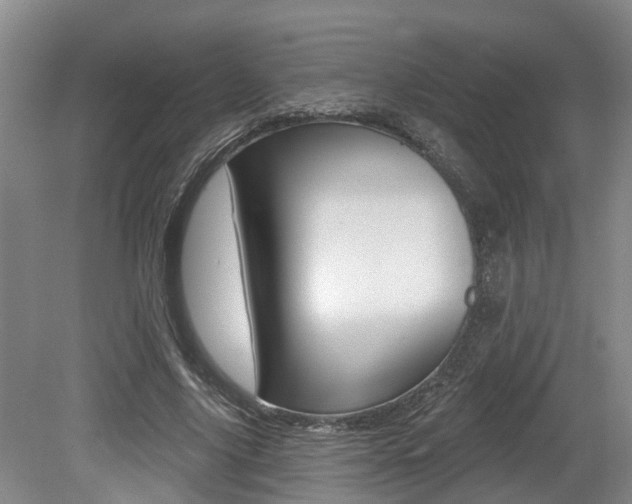 X0000079330635200611170957
