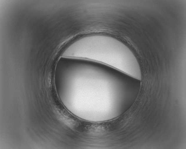 X0000079330640200611170957