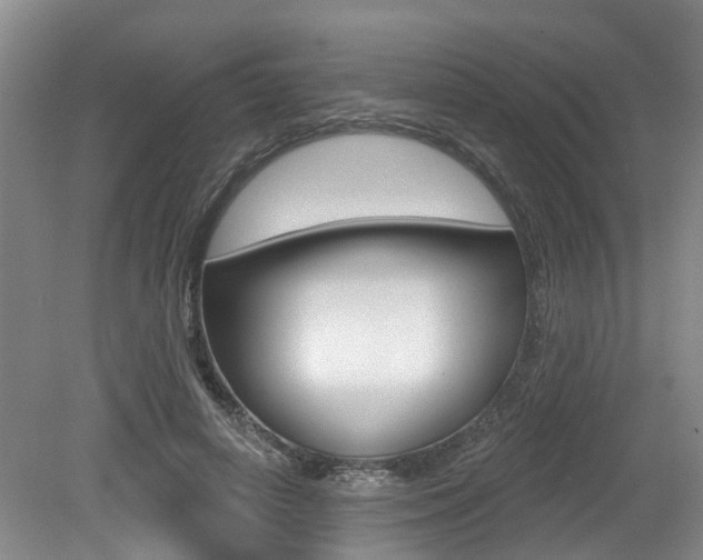 X0000079330642200611170957