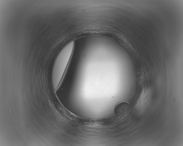 X0000079330643200611170957