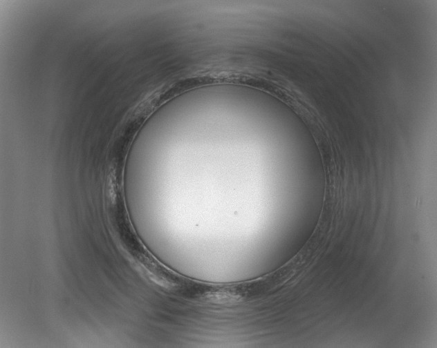 X0000079330644200611170957