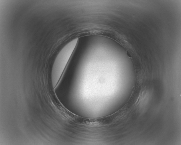 X0000079330645200611170957
