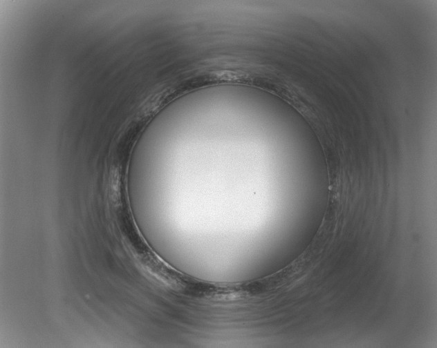 X0000079330646200611170957