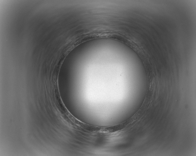 X0000079330647200611170957