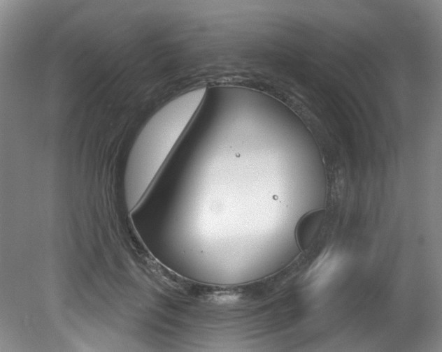 X0000079330651200611170957