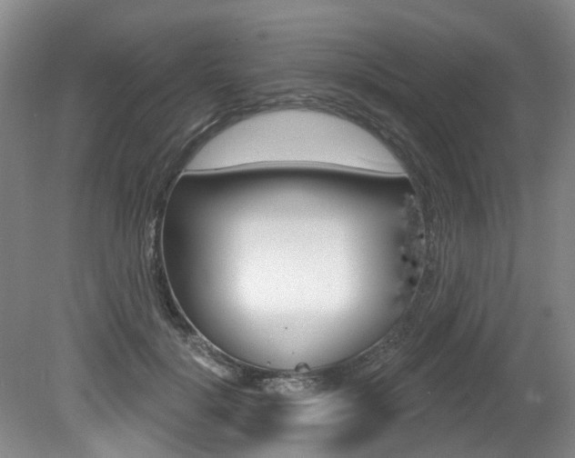 X0000079330652200611170957