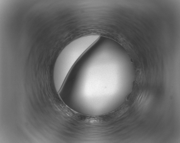 X0000079330655200611170957