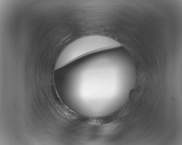 X0000079330656200611170957