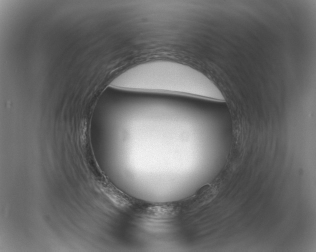 X0000079330660200611170957