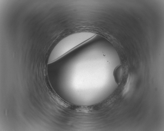 X0000079330661200611170957