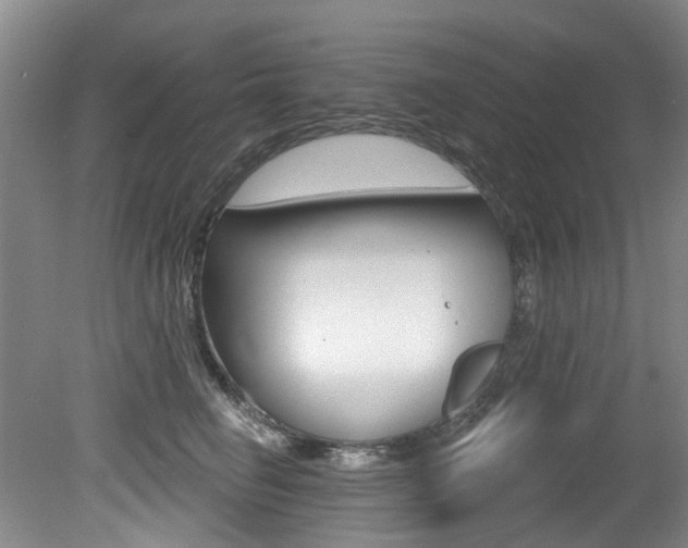 X0000079330662200611170957