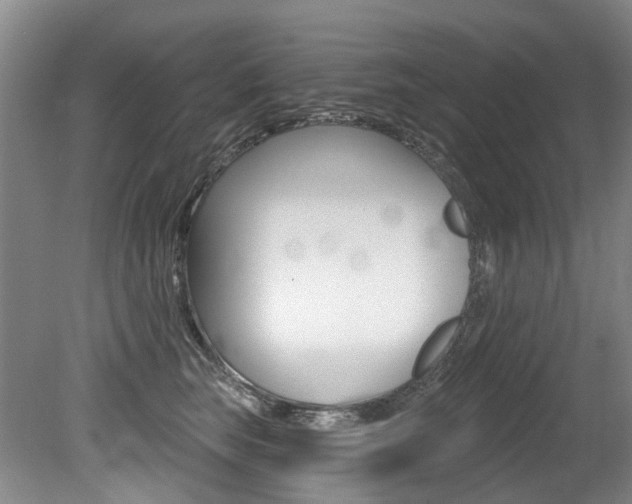 X0000079330663200611170957