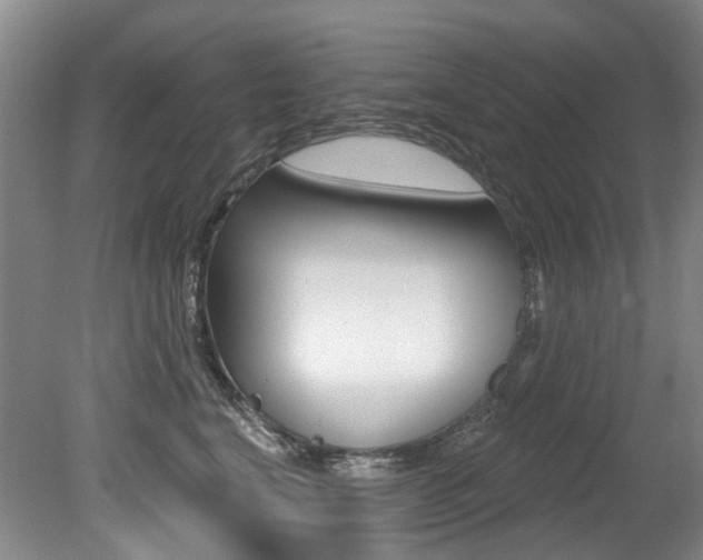 X0000079330664200611170957