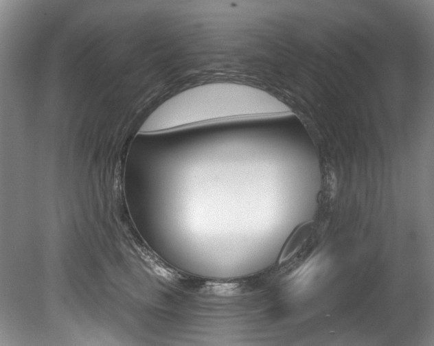 X0000079330665200611170957