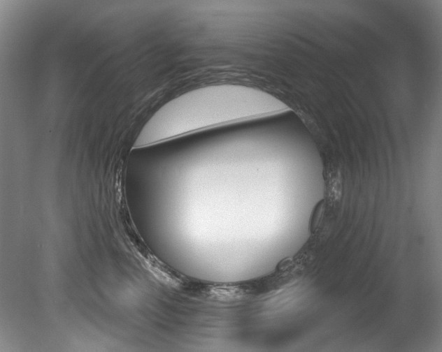 X0000079330666200611170958