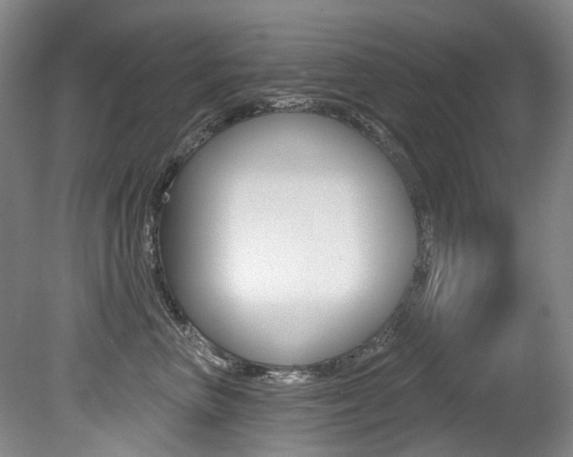 X0000079330667200611170958