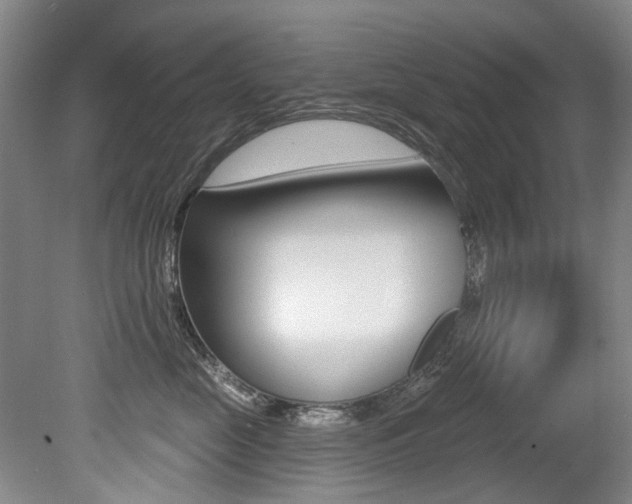 X0000079330669200611170958