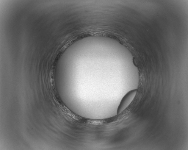 X0000079330671200611170958