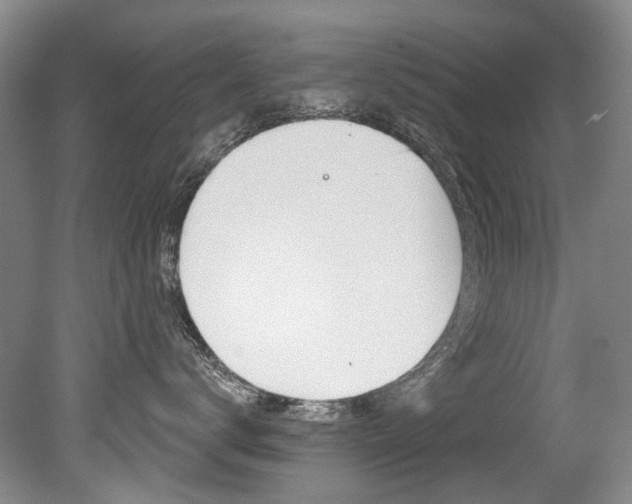 X0000079330672200611170958