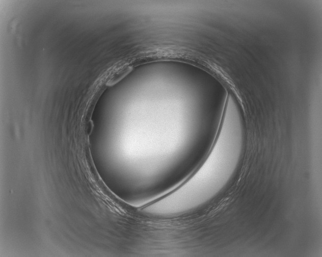X0000079330673200611170957