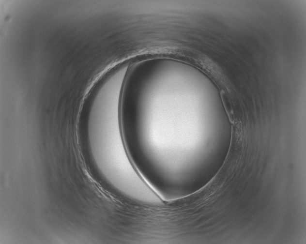 X0000079330676200611170957