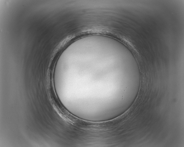 X0000079330678200611170957