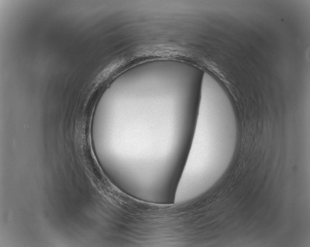 X0000079330679200611170957
