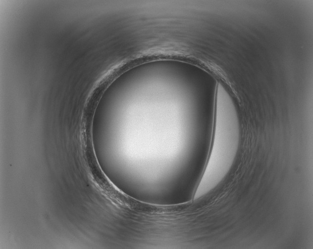 X0000079330680200611170957