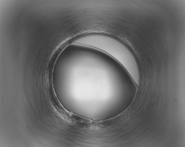 X0000079330684200611170957