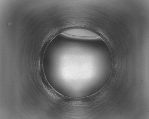 X0000079330685200611170957