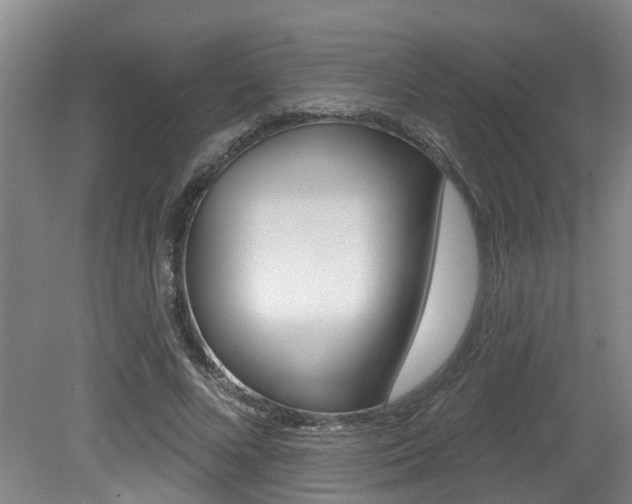 X0000079330688200611170957